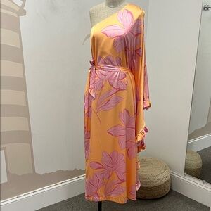 Hutch one shoulder maxi dress